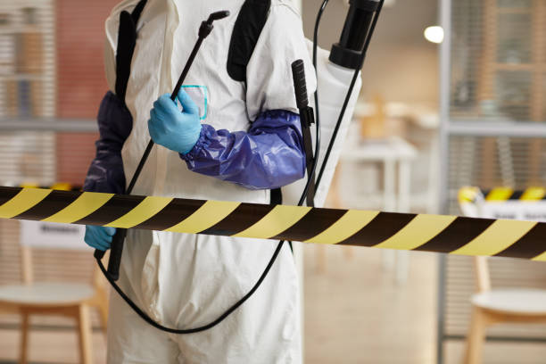 Professional Sewage Cleanup technician working in Williston Park, NY